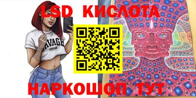 твердый Камышлов